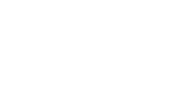 Rochester School of Dance Header Brand Logo